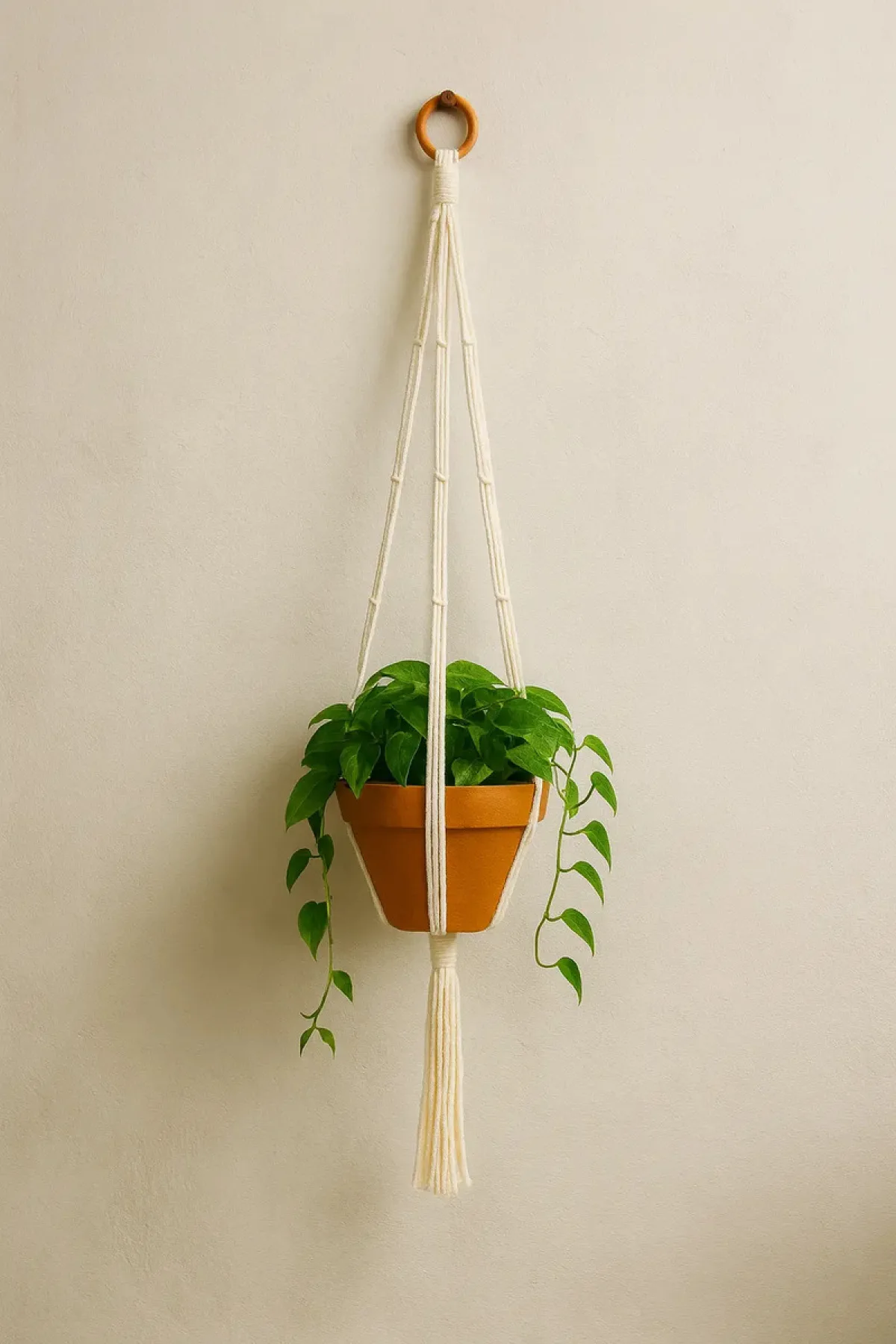 Suporte Macramê Decorativo Para Plantas  Algodão Cru 1 M Branco Lisa